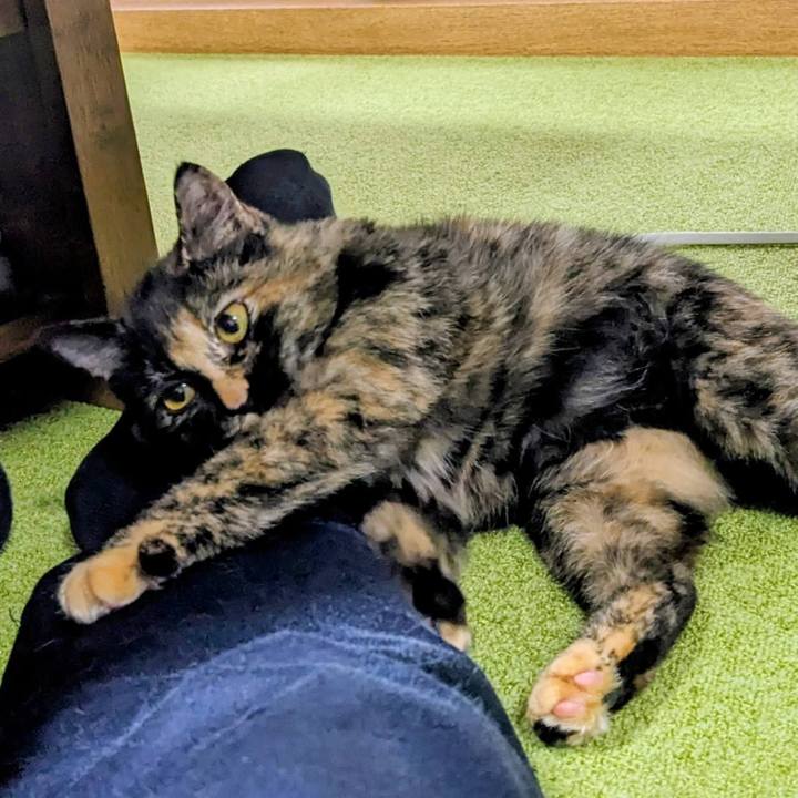 5440720b 3e91 4209 a587 97b792272131 1763470572527