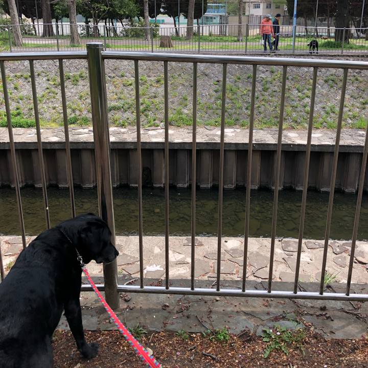 5440794d 1169 4457 be1e 9769b97e4ba7 1555919258524