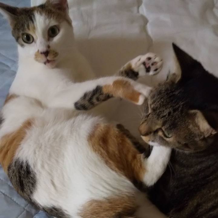 5440870e 8e4b 4745 8adc ac6678d6365e 1663847857178