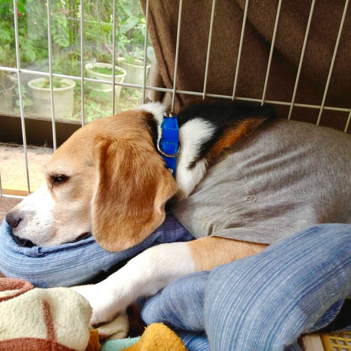 54409516 7092 4f98 bb1d 5687f0e6f224 1751185785216