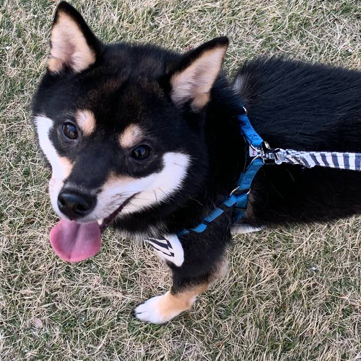 5440cb79 1ce9 4bca 918c 6cbbfaa24aea 1586159867155