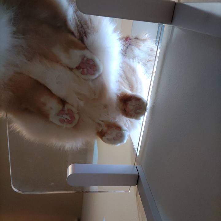 5440dd0e 1a5b 49d0 8b68 c51842552f1a 1671869139118