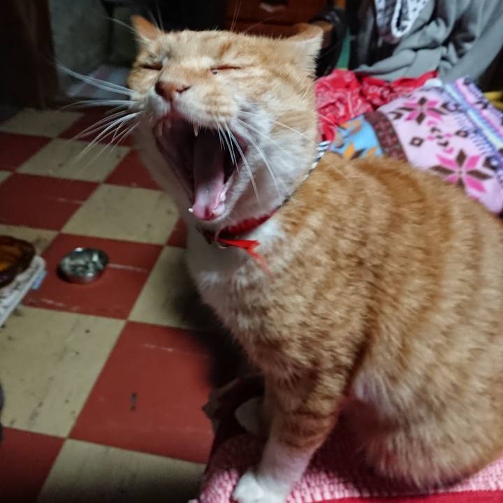 5440ea52 63bb 41a4 8baa cea9f94c5f8c 1569096418686