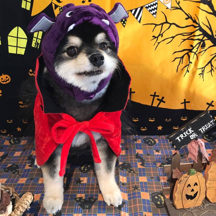 54413713 3335 47cb 8e16 6019fd6a963d 1604379240549