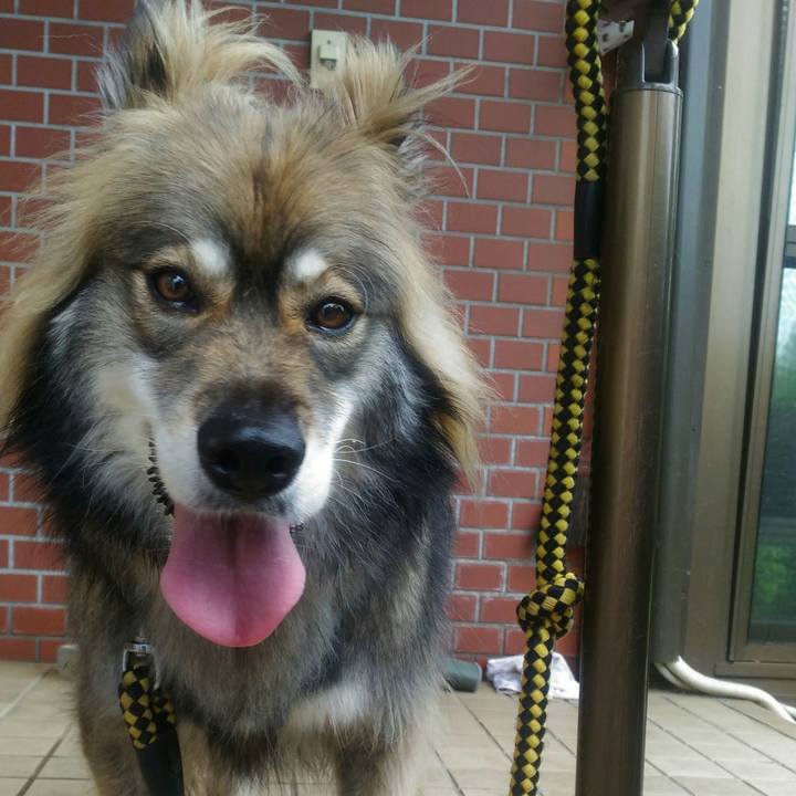 54415e96 4d43 4485 b512 a6ba227a298a 1556182746091