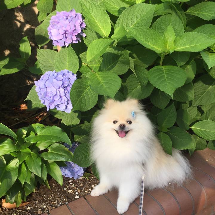 54416ef9 ed57 4b97 8186 d29b65ab9007 1591308832051