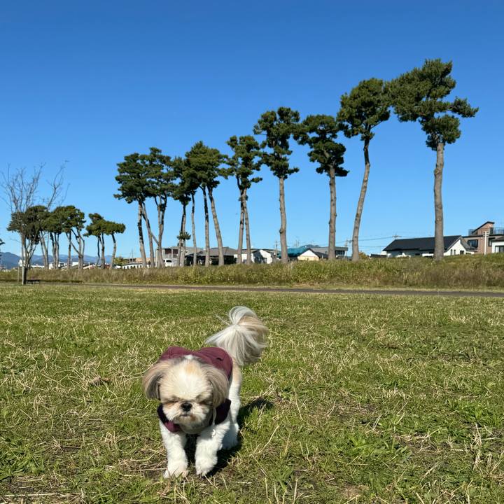 5441c16b da90 4f4e 9b03 ac2f7b6dfa13 1733046766272