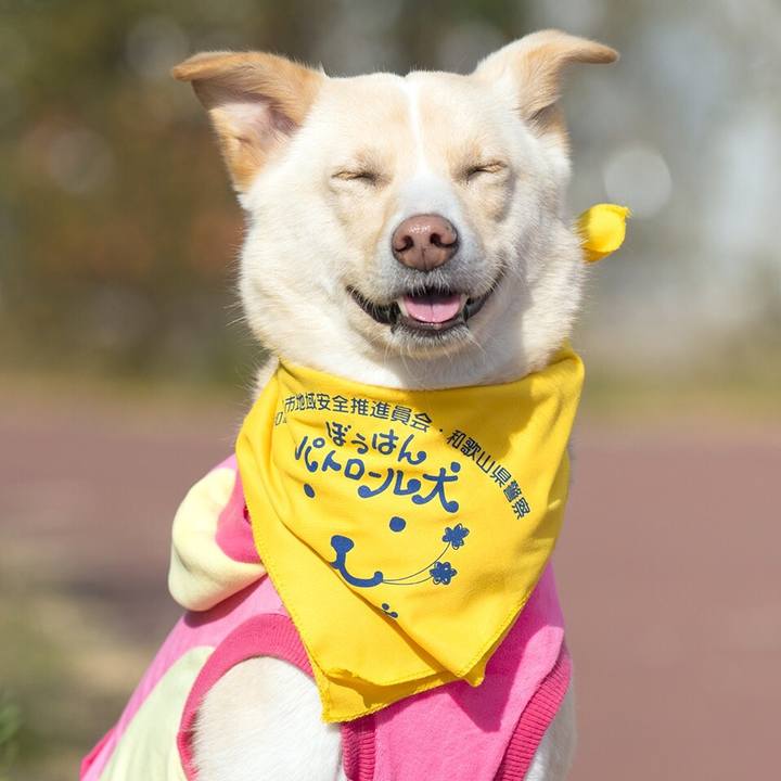 5441ff90 ec80 43cd 9b1e 534133f1e996 1547783872483