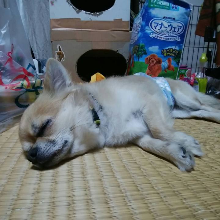 544272f0 3c3c 4975 a15d 09fdaeda5fb3 1530363714760