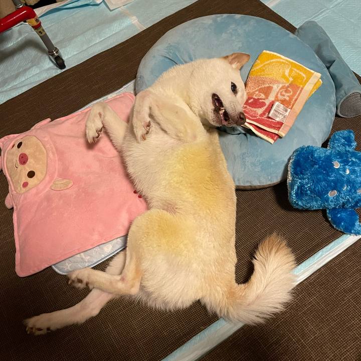 54428e01 8896 4672 98b7 961ee75a4ac4 1661544048032