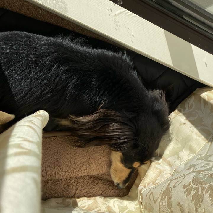 54429423 2ff0 4b6d b586 d4d1ef66aecd 1705463719978