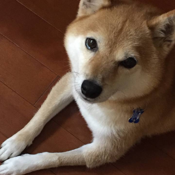 5442a43c a6d5 44cb ae96 cc4ae5eccb1e 1541582465263