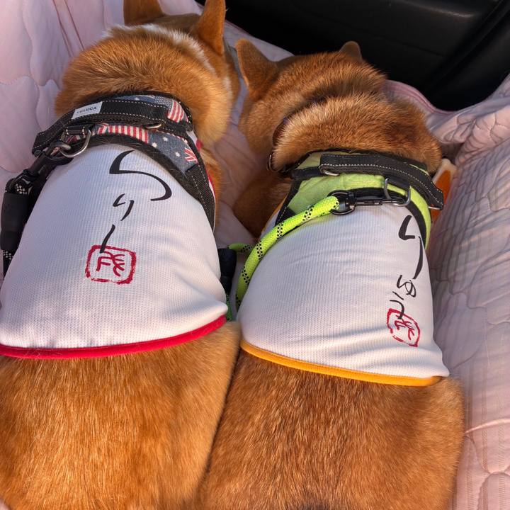 5442adc6 7819 4e07 959d 30fbbf3f048b 1766169373759