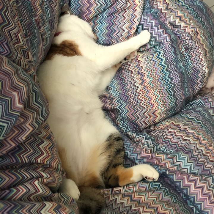 5442c568 dbd1 469a a849 df233128f146 1580012437052