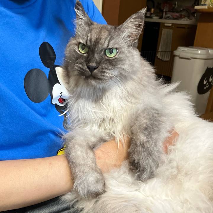 5442c5cd f7d2 4fe4 98e8 91f2fa2eb02f 1747792779723