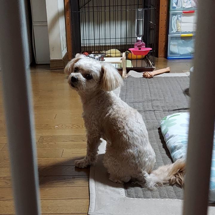 5442dd19 2436 4aba 823c 354a179f96c5 1633832765097