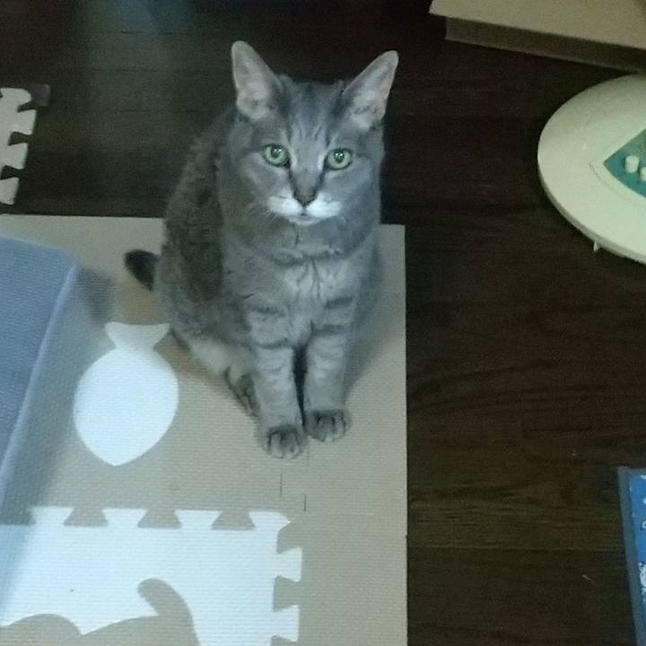 54431723 f1cd 466a 96df 77a127bab531 1754307109432