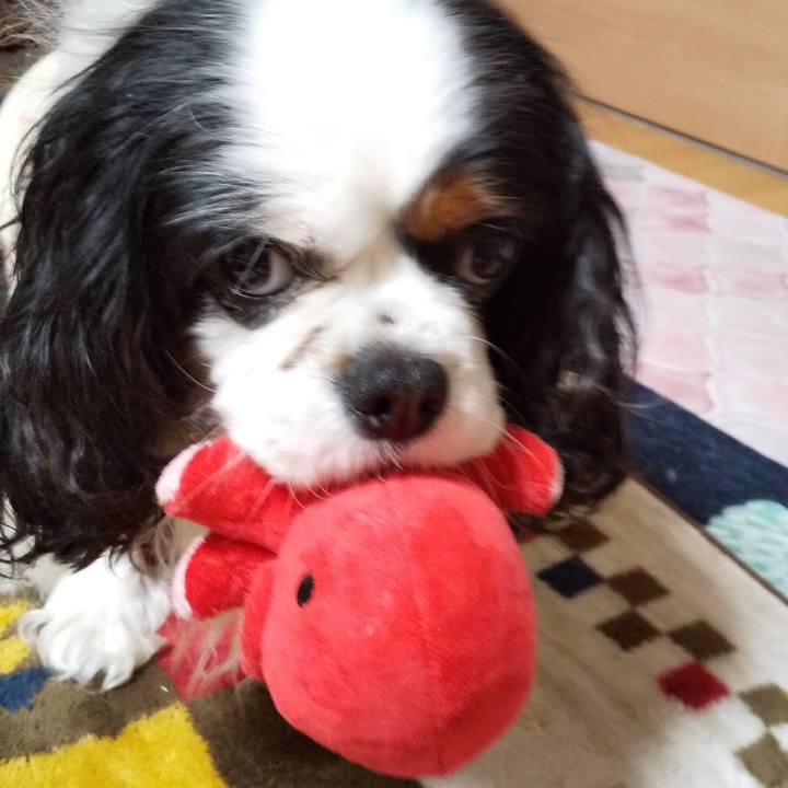 544321a4 21a6 4198 acef c36b34bfad59 1584113787398