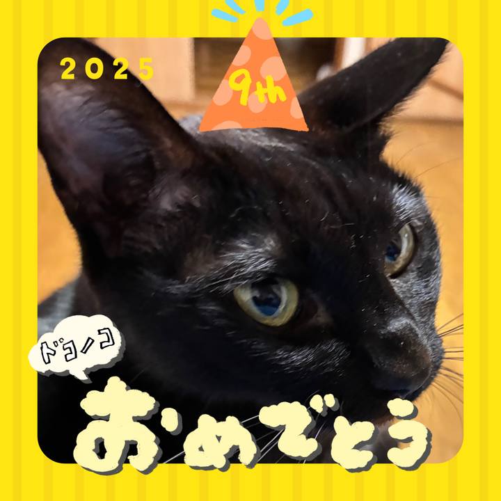 54435ce4 790e 437e b09a 1b9e530a0d5d 1749298940684