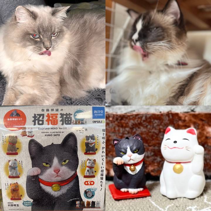 54436b2a b184 4194 b919 3a187c953a56 1674461507383