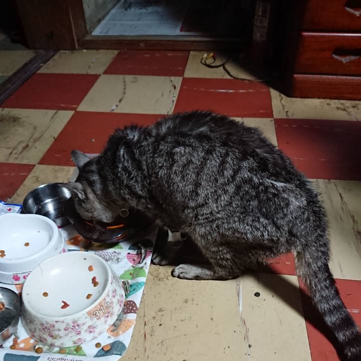 5443ae7f a497 45c4 98f4 d35af6e901ed 1595620539437