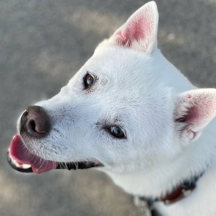 5443bf9b 33b4 4752 9a7c 08b9936865b6 1694213498911