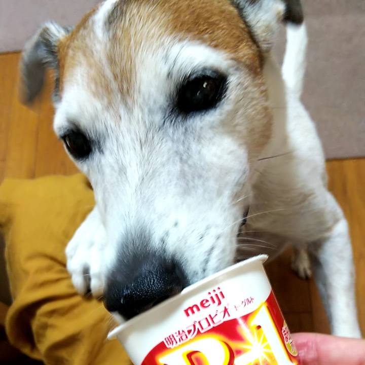 5443e5a6 cf50 4520 a7cf 3caff5735d45 1535927498351