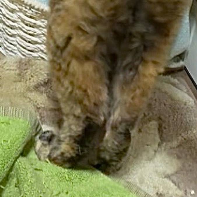 54440417 84f1 4d58 a7c3 37ea84eae015 1748400548252