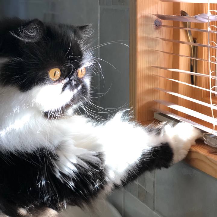 54440c00 2c34 4db1 b7c6 b3010871bf1c 1615012552881