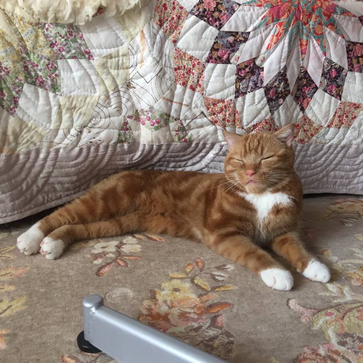 54445cbe 232f 489b aa81 bab65d6561b5 1533961765884