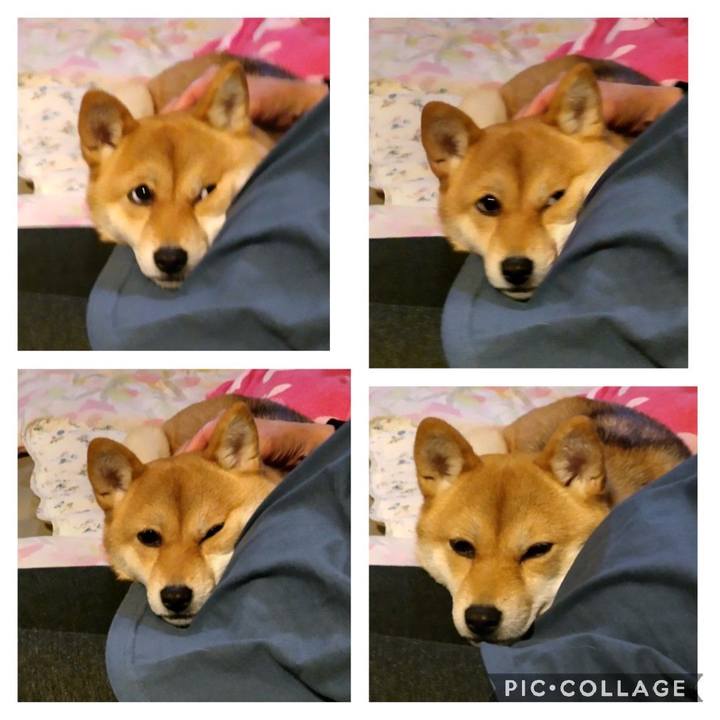 5444622c a821 49e7 b14e 610bc57da13d 1639388523756