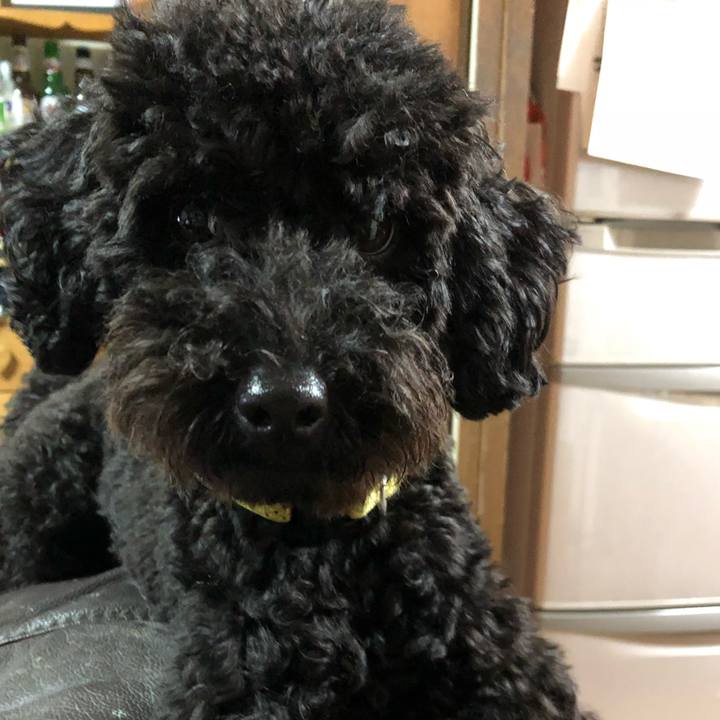 54449284 5c3a 418d b3b7 d471427b0da0 1508749781629