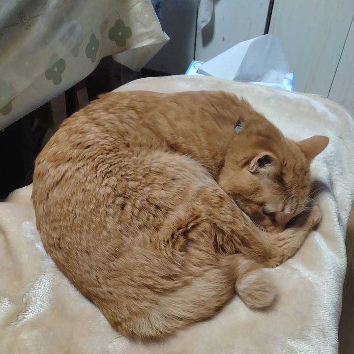 54451ae6 c7c4 45d5 a264 d6d5c1464701 1708757128643