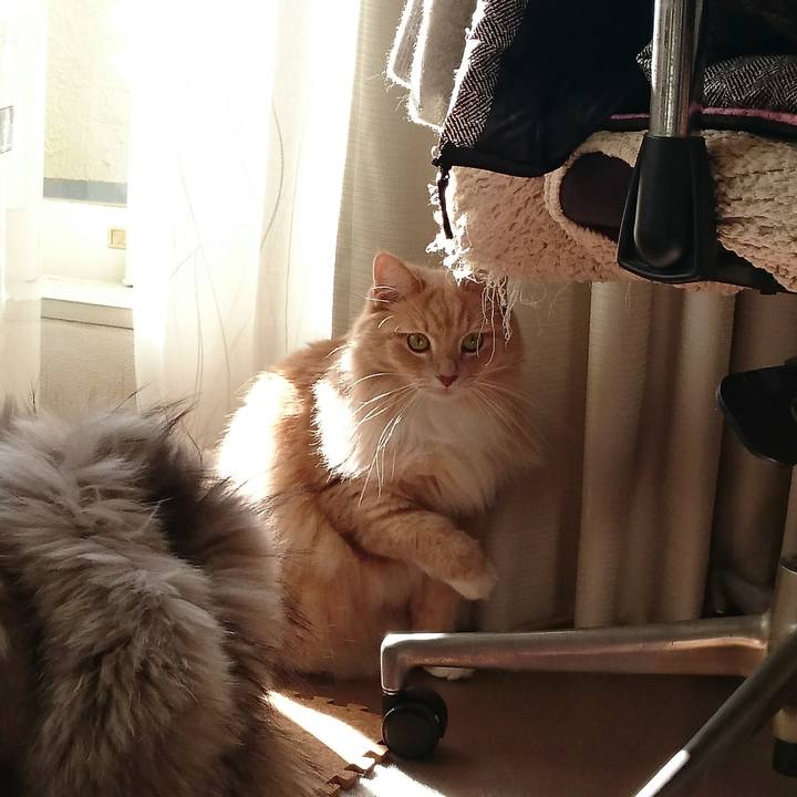 54455b17 0220 439b 879c de0004ac7c45 1512791061776