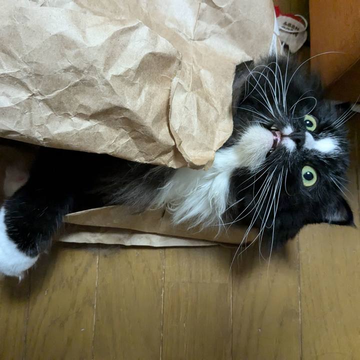 54456449 1706 4b8f 8e83 a50a5c885b40 1728339683645