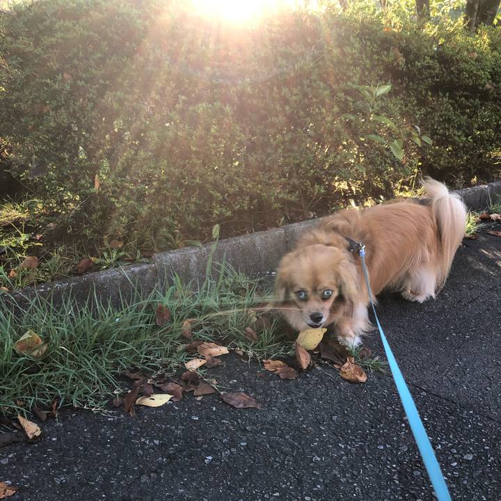 54459cd0 c6c9 49f0 898c b707b118bd30 1566768780548