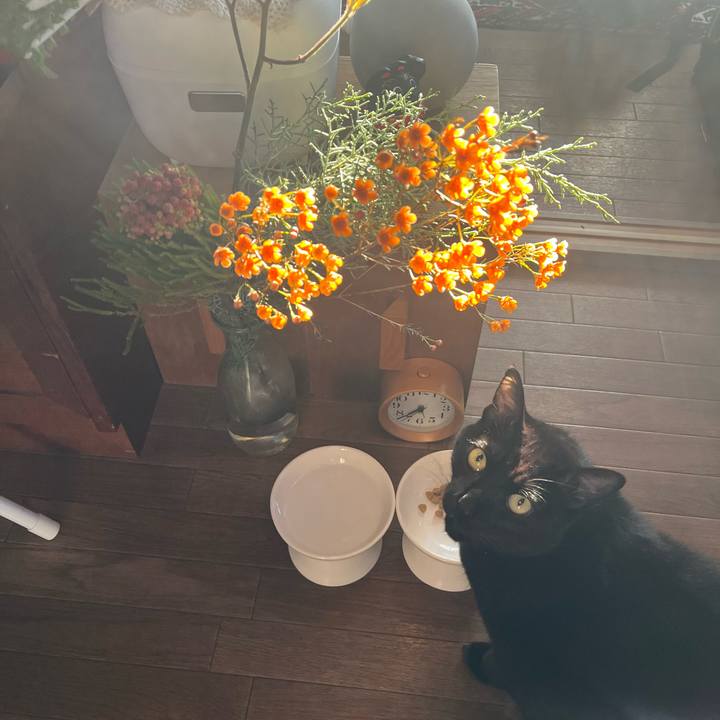 5445a84f f52c 4172 86e7 75a58b05acc6 1765326267688