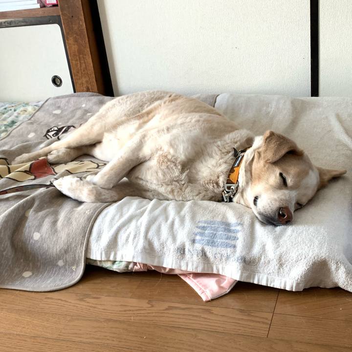 54461918 e671 4fca 9c50 a668ded4b2cd 1584246356631