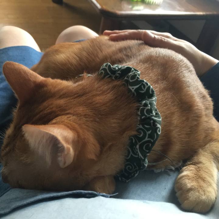 5446293d f075 4d34 8ae1 a65a820ca939 1537567552663