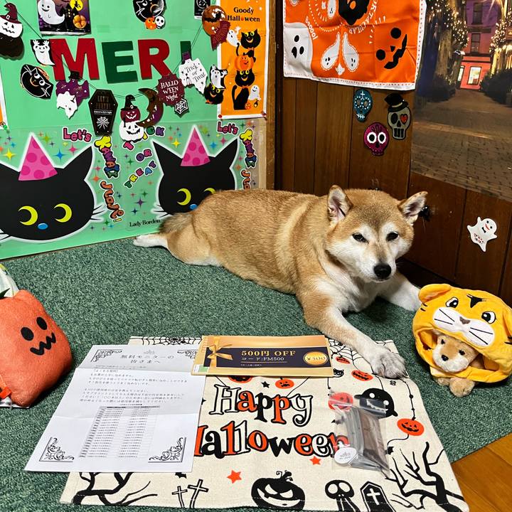 54464c59 ec92 4b1c 8730 307a1fa90dfb 1664185920123