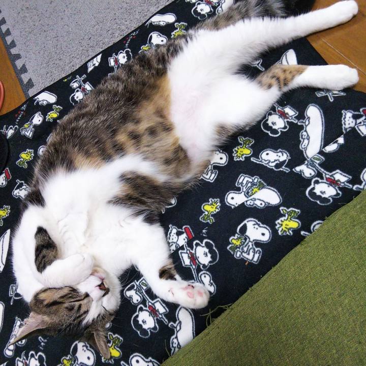 5446c87f 5378 415d a8d6 58a5ffa86adc 1635079644536