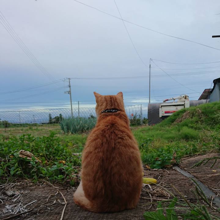 544720a8 b1d4 4e16 ac99 d55ed6e3885e 1568969953486