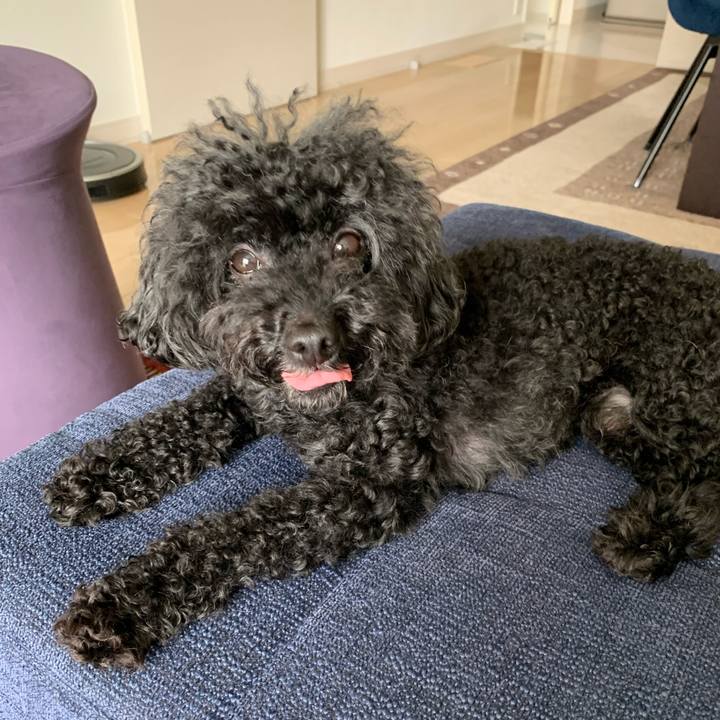 54474c4e 55c8 4255 a13d 5d7ae107977b 1595131690484