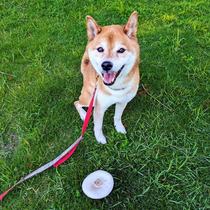 54475614 c8b8 4972 b59f 2416df16a36b 1750114264358