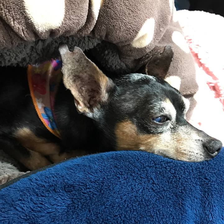 54475c6c 38e6 4183 ad00 36fa252ff1f2 1518782766884