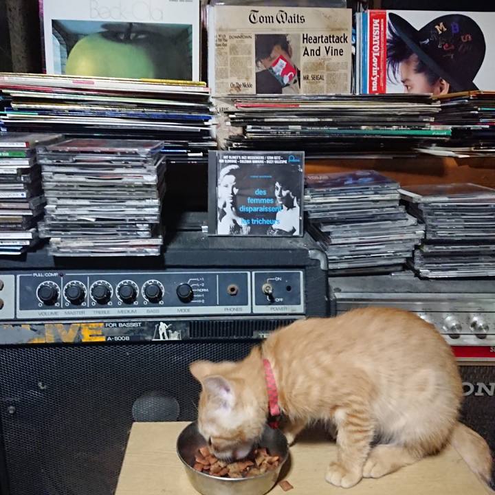 5447831e 523b 4f9d b114 dd0100983408 1631620776716