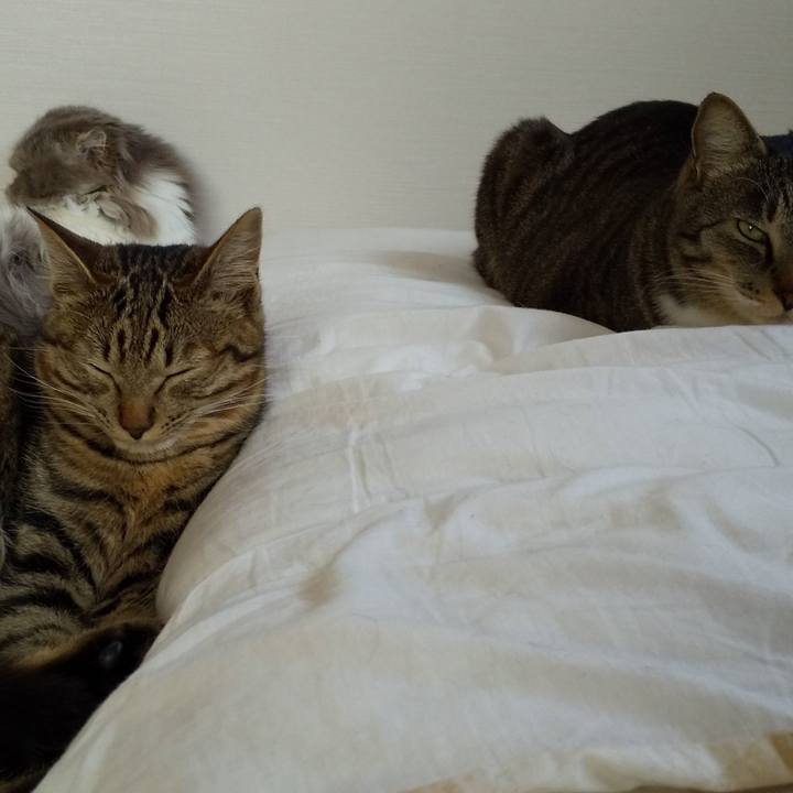 5447b1a9 0a9a 4814 ad0a 312dac280b6e 1648180959560