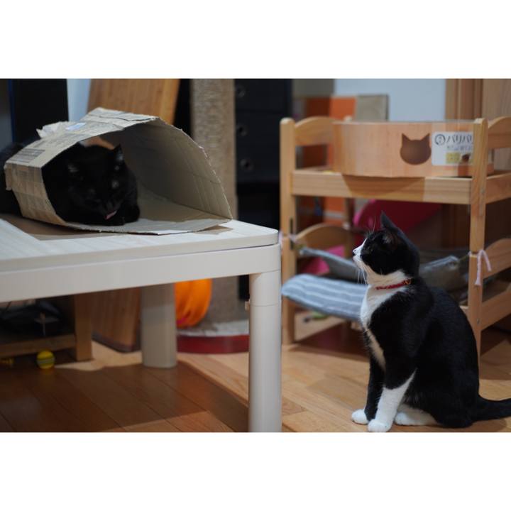 5447b6c1 1a01 443f bc14 f352c530f19c 1628939509456