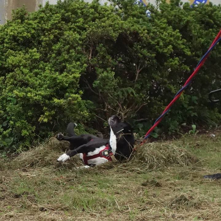 5447f4d2 4287 449d 9d97 58c1970a8130 1632527400721