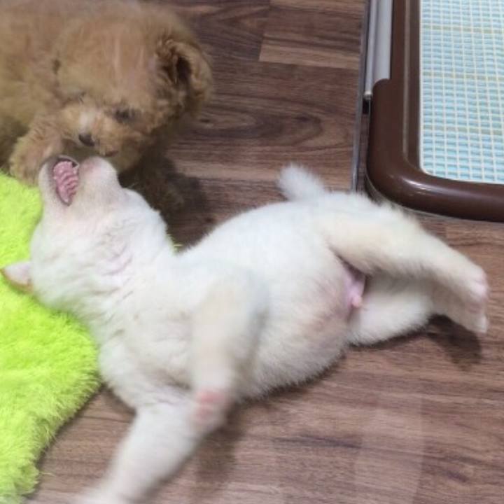 544832fe 87a3 4777 b399 6477dbc9ec0f 1522052480119